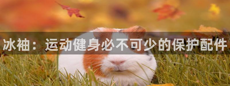 意昂3代理