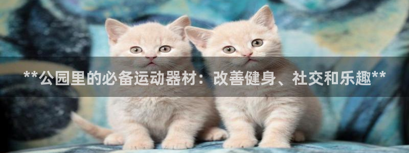 意昂体育3平台假的吗是真的吗吗