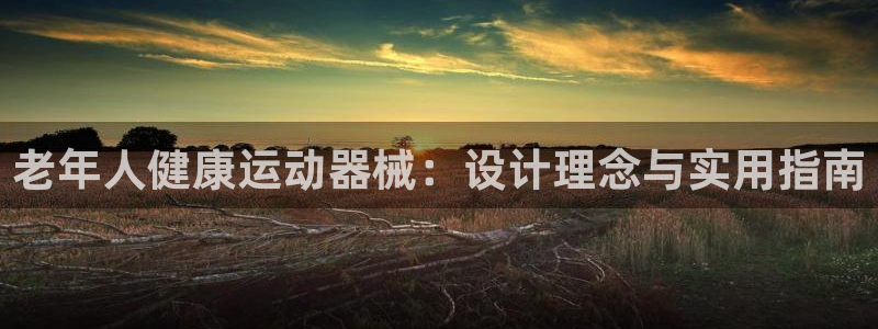 意昂3娱乐下载：老年人健康运动器械：设计理念与实用指