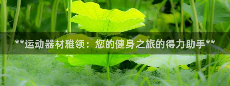 意昂体育3是干嘛的公司：**运动器材雅领：您的健身之