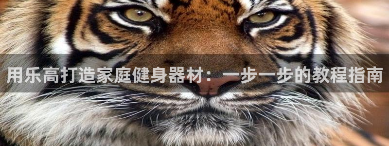 意昂3集团：用乐高打造家庭健身器材：一步一步的教程指