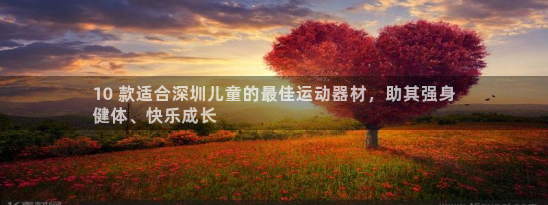意昂3官方：10 款适合深圳儿童的最佳运动器材，助其强身
健