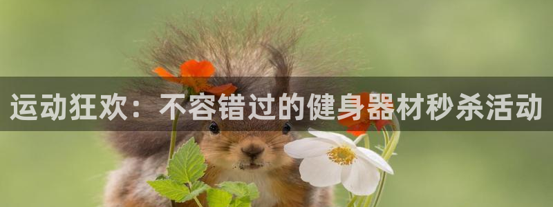 意昂体育3招商电话是多少号码：运动狂欢：不容错过的健