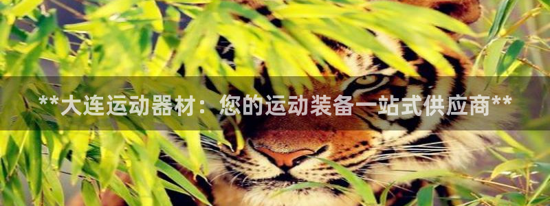 意昂3娱乐：**大连运动器材：您的运动装备一站式供应商**