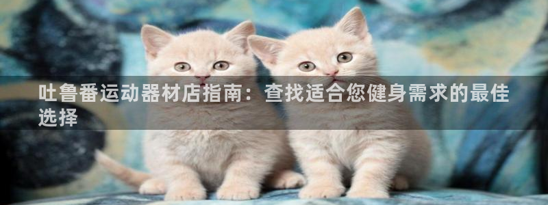 意昂体育3官方客服电话：吐鲁番运动器材店指南：查找适