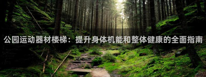 意昂体育3平台假的吗是真的吗吗：公园运动器材楼梯：提