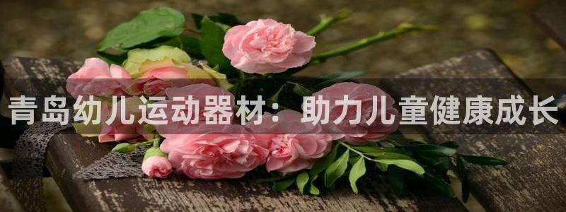 海南意昂体育3发展怎么样：青岛幼儿运动器材：助力儿童