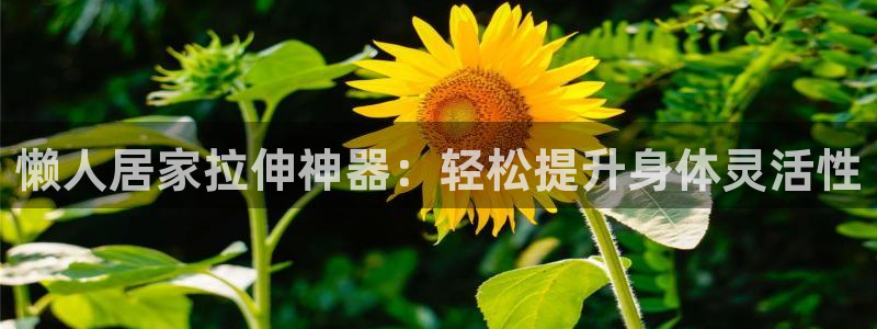 意昂体育3招商电话地址查询