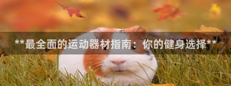 意昂体育3招商电话是多少号码：**最全面的运动器材指