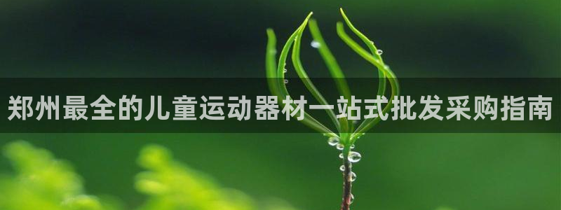 德国意昂3集团：郑州最全的儿童运动器材一站式批发采购