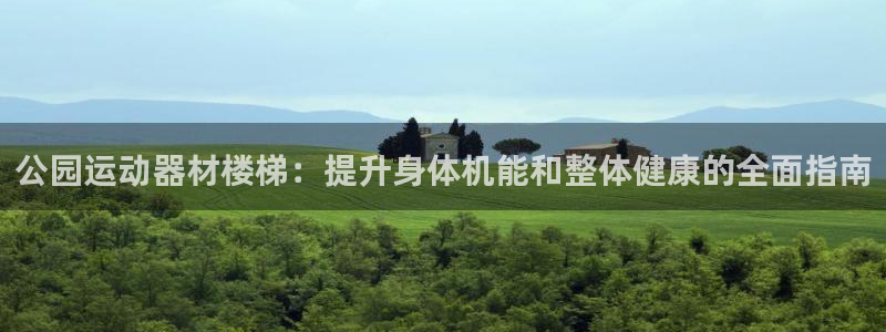 意昂集团官网：公园运动器材楼梯：提升身体机能和整体健