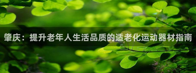 意昂体育3娱乐：肇庆：提升老年人生活品质的适老化运动