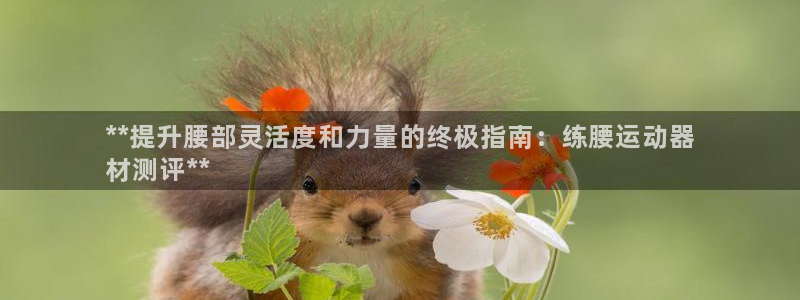 意昂3集团官网首页：**提升腰部灵活度和力量的终极指