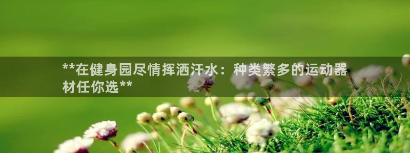 意昂3集团logo：**在健身园尽情挥洒汗水：种类繁
