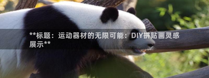 意昂3神州：**标题：运动器材的无限可能：DIY拼贴画灵感
