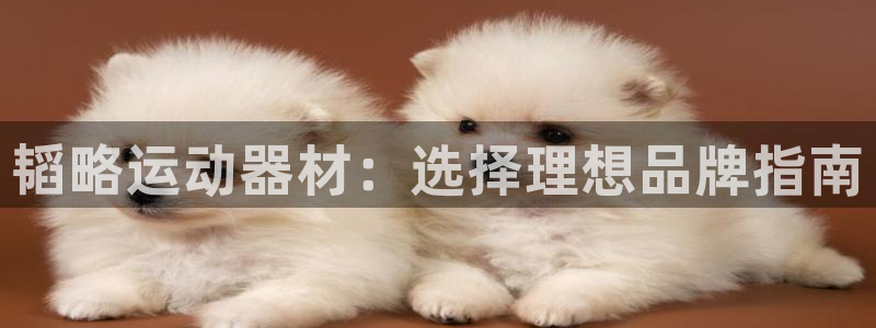 意昂体育3平台：韬略运动器材：选择理想品牌指南