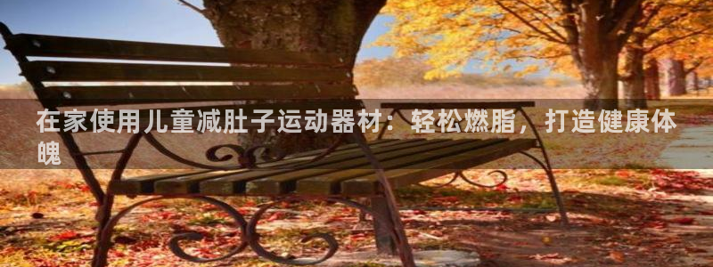 意昂3娱乐首页官网下载：在家使用儿童减肚子运动器材：轻松燃脂