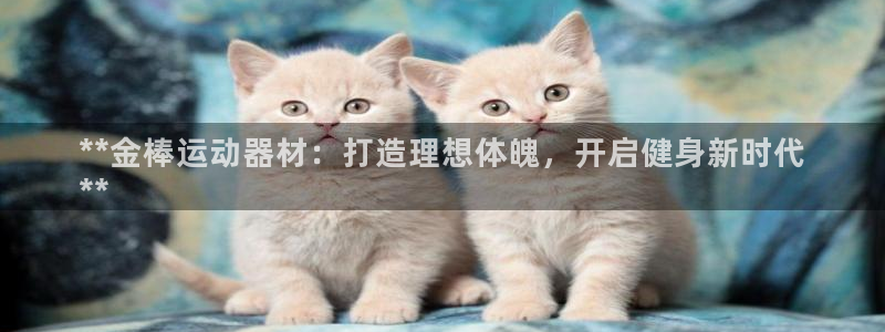 意昂3集团官网首页：**金棒运动器材：打造理想体魄，