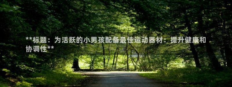 意昂体育3注册：**标题：为活跃的小男孩配备最佳运动
