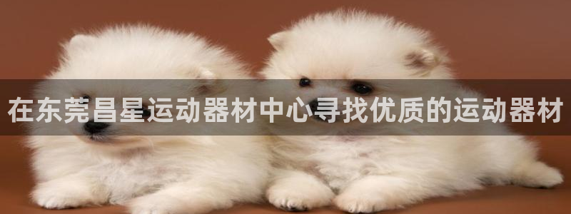 意昂体育3平台注册：在东莞昌星运动器材中心寻找优质的运动器材