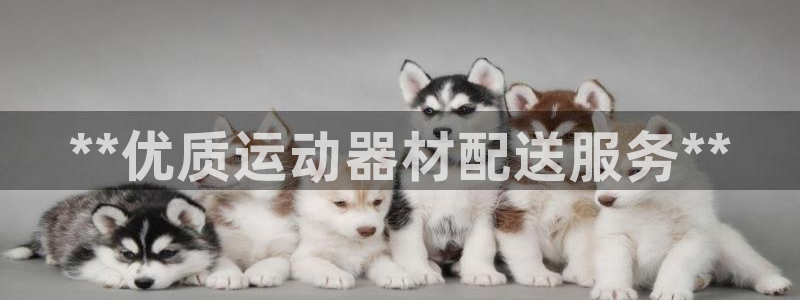 意昂3集团logo：**优质运动器材配送服务**