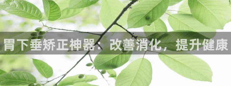意昂体育3招商电话号码是多少啊：胃下垂矫正神器：改善