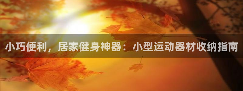 意昂体育3平台APP：小巧便利，居家健身神器：小型运