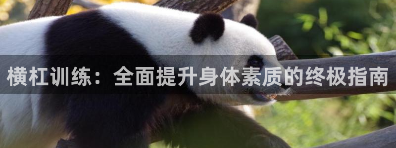 意昂体育3注册：横杠训练：全面提升身体素质的终极指南