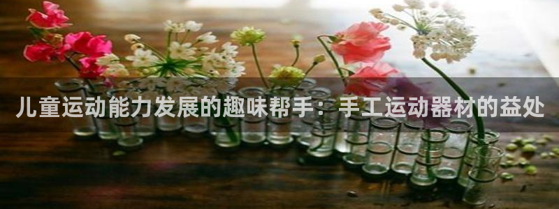 意昂体育3招商电话是多少：儿童运动能力发展的趣味帮手