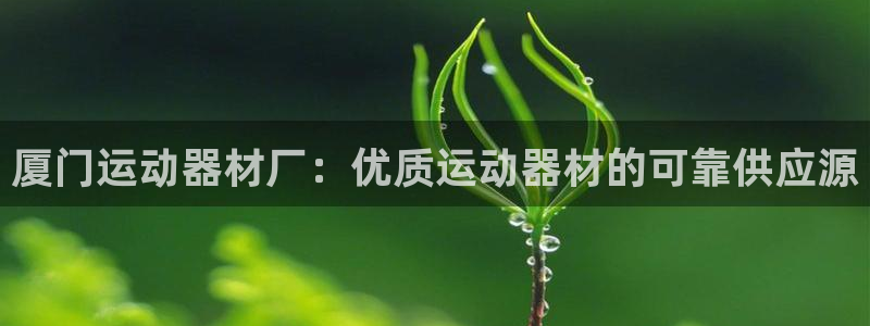 意昂体育3平台假的吗是真的吗吗：厦门运动器材厂：优质