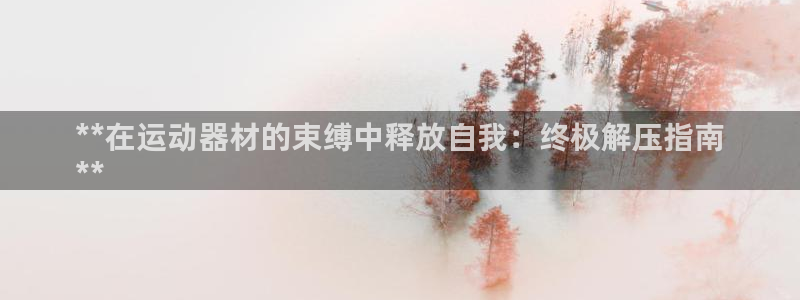 意昂体育3招商电话号码查询是多少：**在运动器材的束