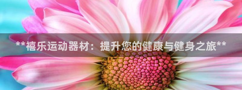 德国意昂3集团：**禧乐运动器材：提升您的健康与健身