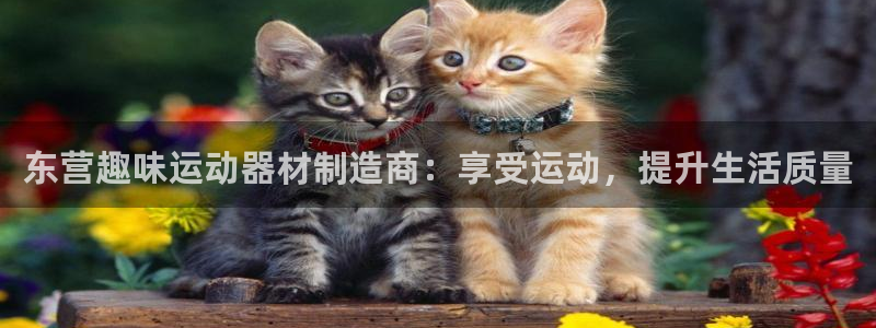 意昂体育3平台是正规平台吗安全吗：东营趣味运动器材制