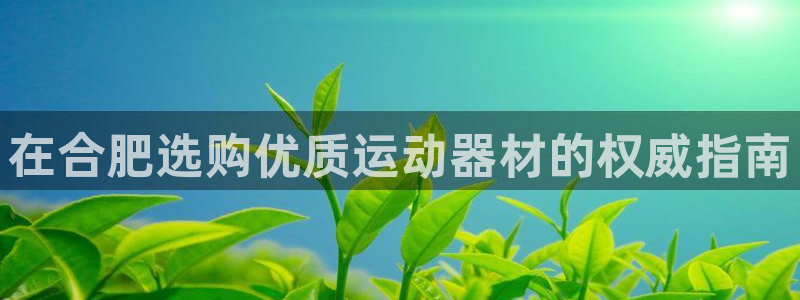 意昂体育3招商电话号码是多少：在合肥选购优质运动器材