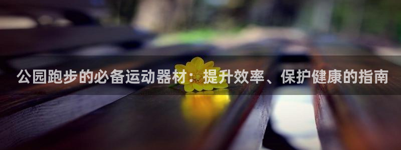 意昂体育3开户： 公园跑步的必备运动器材：提升效率、