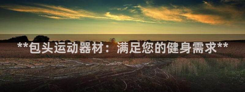 意昂平台体育：**包头运动器材：满足您的健身需求**
