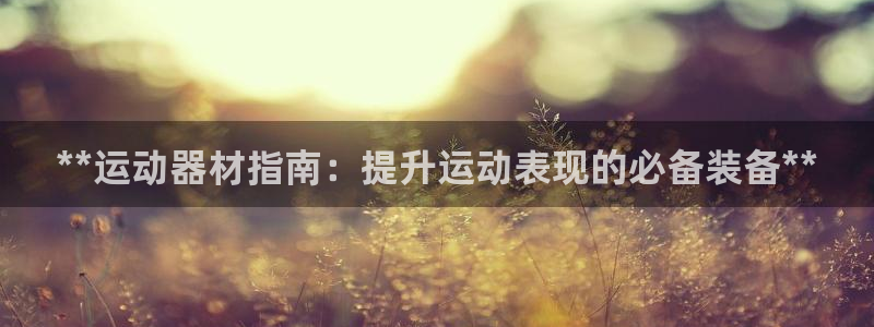 意昂3新能源：**运动器材指南：提升运动表现的必备装