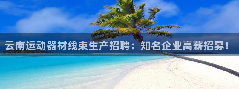 意昂3官网：云南运动器材线束生产招聘：知名企业高薪招