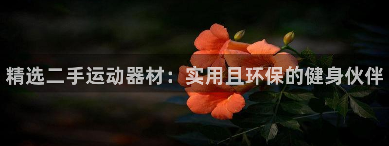 意昂体育3平台注册要钱吗是真的吗