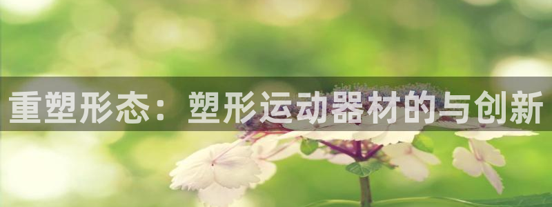 意昂体育3开户