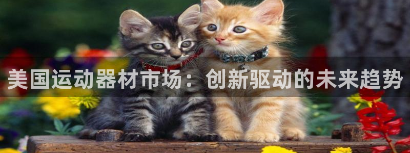海南意昂体育3发展怎么样