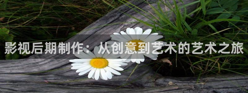 山外人精品影院洋洋av