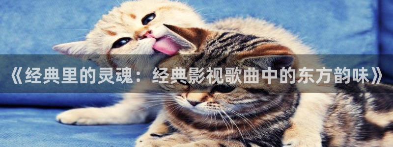 山外人精品影院在线观看