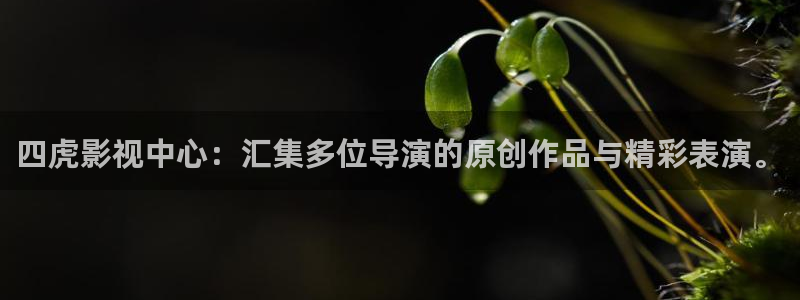 山外人精品影院在线
