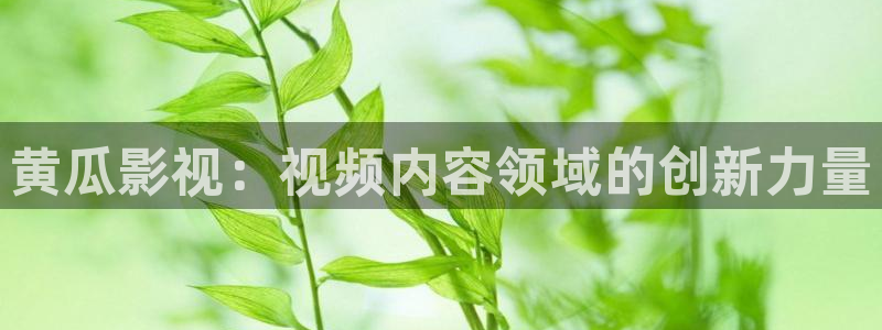 山外人精品影院在线观看