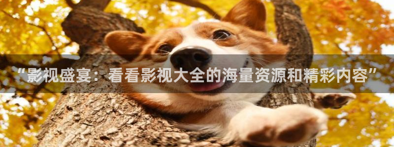 山外人精品影院在线观看