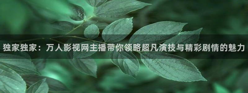 山外人精品影院 6 在线观看