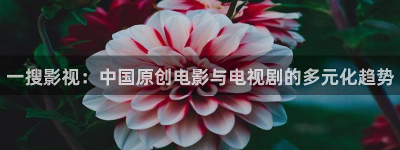 山外人精品影院 6 在线观看