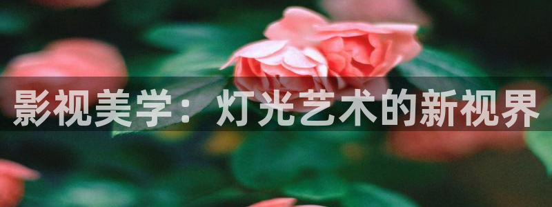 山外人精品影院