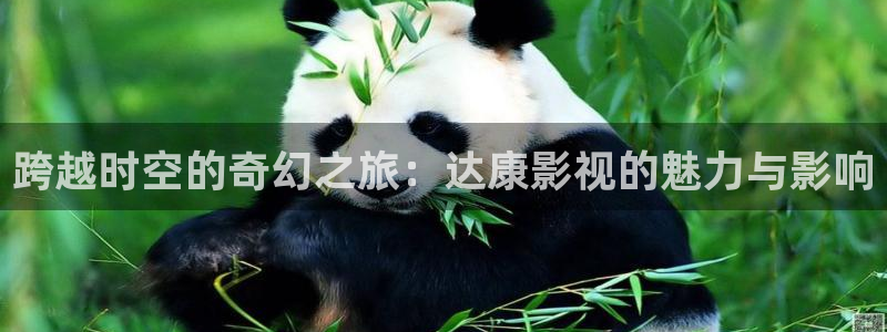 山外人精品影院在线